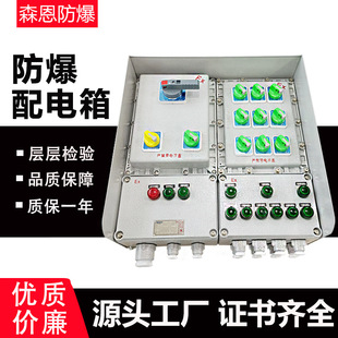 Explosion-proof distribution box lighting power instrument junction box control maintenance power socket box stainless steel distribution cabinet