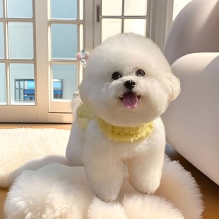 ���l���N���ܲ豭Ȯ��Ȯ���w��������Ȯ����С������С��Ȯ���pȮ