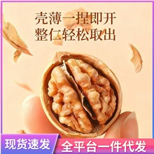 纸皮核桃新货 手捏即开薄壳核桃 原味干果坚果袋装批发