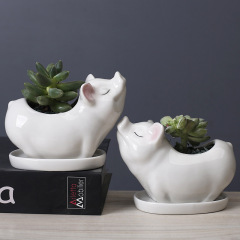 Manufacturer Supplies Creative Ceramic Succulent Planter Amazon Cross-border White Cartoon Ocean Series Animal Planter