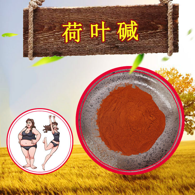 荷叶碱2%4%按需分装荷叶浓缩粉批发零售HPLC检测荷叶提取物