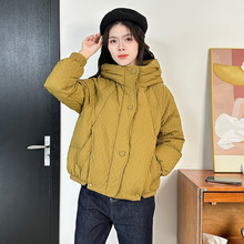 90�����q�̿����q��Ů2025������ů������r��С������q����