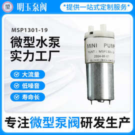 微型水泵MSP1301-19大压力抽水泵洁牙器小型宠物洗屁器微型水泵