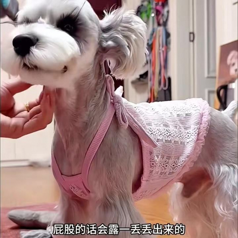 Pet Dog Harness Retro Bow Little Harness encaje que osos Schnauzer Teddy Yorkshire ropa