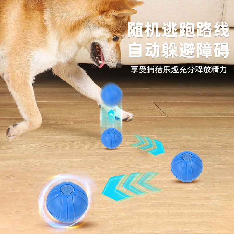 중력 점핑 공, 개 쫓는 공, 식품 등급 재료, 안전, 물림 방지, 자동 깨우기, 지능형 장애물 회피, 긴 배터리 수명