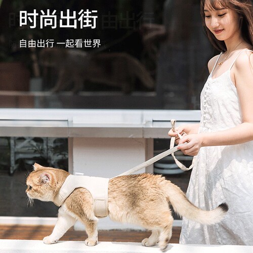 Cat traction rope, anti-breakaway cat harness, four-season breathable pet harness, cat leash, dog leash for outdoor walking