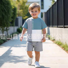 2025夏季新款动物3D数码印花图案童装男童休闲运动圆领短袖套装