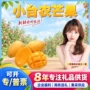 海南新鲜60-90g彩箱芒果