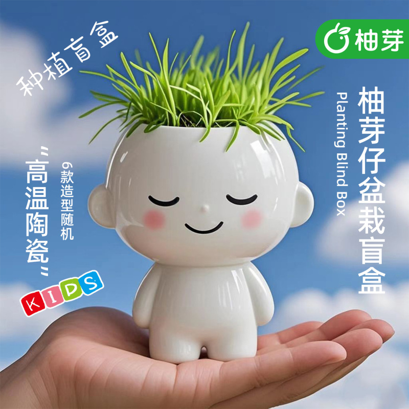 Grass Head Doll Planting Pot Desktop Green Plant Blind Box Desktop Ornament Mood Stabilizing Flower Pot Student Gift Grass Head Doll Planting Pot Desktop Green Plant Blind Box Desktop Ornament Mood Stabilizing Flower Pot Student Gift