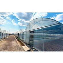 ���w��S���N�۲�����r�I���Ҵ����OӋ���b����߲��ﱣ��