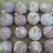 �tƤ����Դ�^���S��샦��؛Դ����