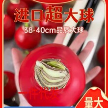 һ�����l���m�M��ʯϞ��피t��ϞС���Դ�N������r���ɷ��k����