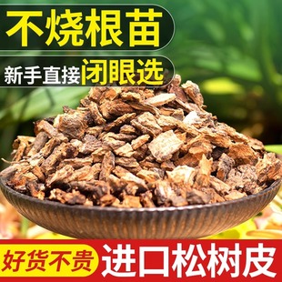 �l�͉Kֲ��ʯ���¼��ɘ�Ƥ�I�B�������m��������[�m���m����