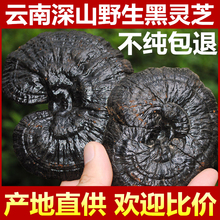 �����ɽҰ���`֥����֥��؛�`֥��Ƭ���`֥�ݾ����B����