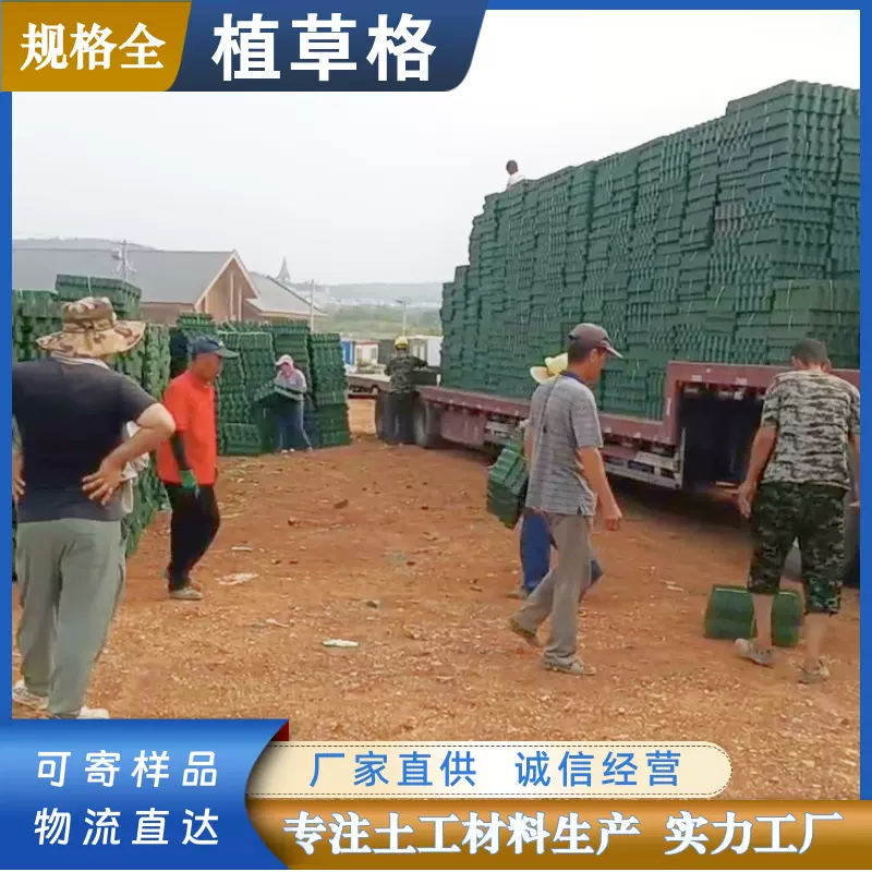 平口花口塑料植草格 园林绿化护坡草坪草坪格 停车场专用植草格