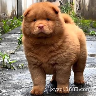 ���l��tȮ������w������������Ȯ��o�lȮ���CȮ����С������