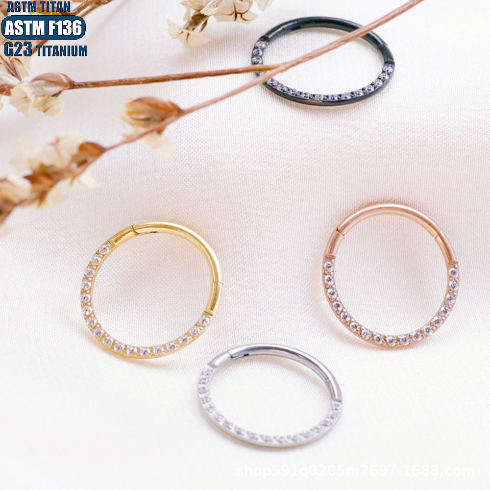 F136 Titanium Alloy Zircon Earrings CNC Seamless Ring Nose Ring Diaphragm Perforated Jewelry Ear Ring detail image 11