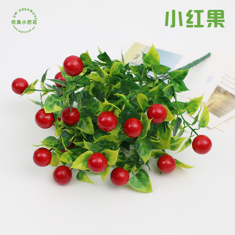 거품 작은 붉은 과일-1 가지