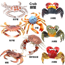 �羳���溣������ģ��Ӳ�|����PVC�з�[����ͯ�J֪��߃�ͯ�Y��