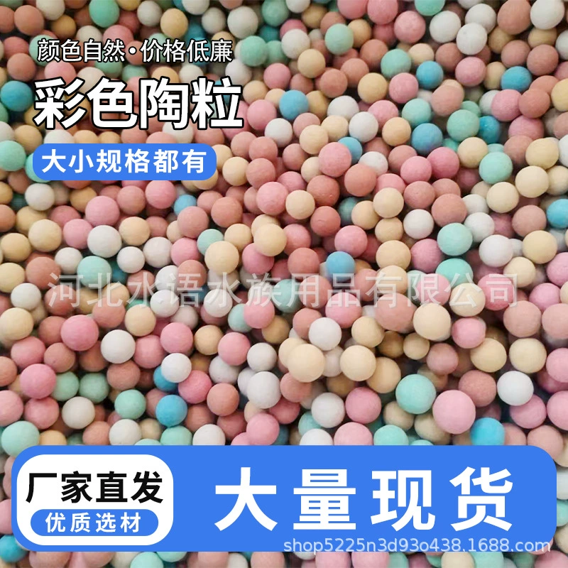 Цветной керамзитовый коврик заполнен мясистым украшением