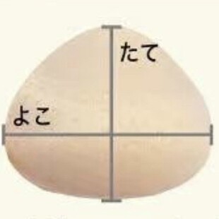 ���ĺ��d���x�� �ձ��͑􌣹�