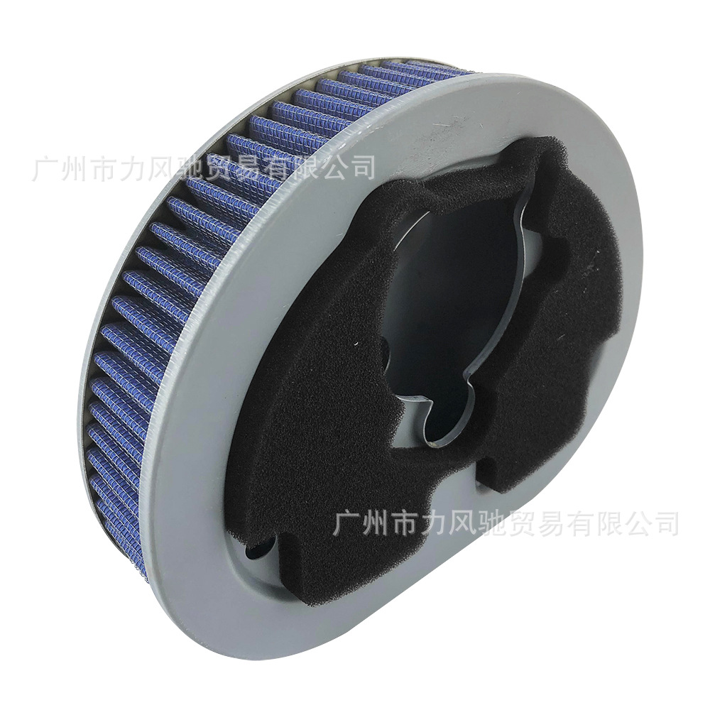 Filtro de celda de aire para Harley-Davidson Extreme Super Gliding Soft Tail Successor Dana Luwei Air Filter