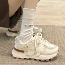 ϵЬŮƤЬŮ2025¿ļe\ЬСЬŮ