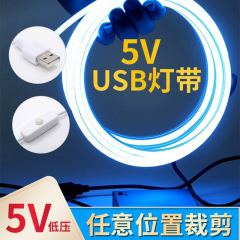 卸売りled充電式ランプは5v低圧電池タイプのusbフレキシブルネオン自己接着シリカゲルソフトストリップを持っている