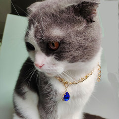 New Arrival Pet Dog & Cat Accessories: Drip-Shaped Heart Pendant Necklace, Decorative Metal Aluminum Chain, Stylish Fashion Add-On