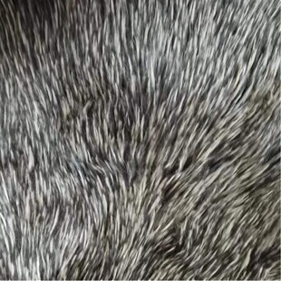 ë�q��ߴ��o�����ò��ϣ��´��oëë�q��