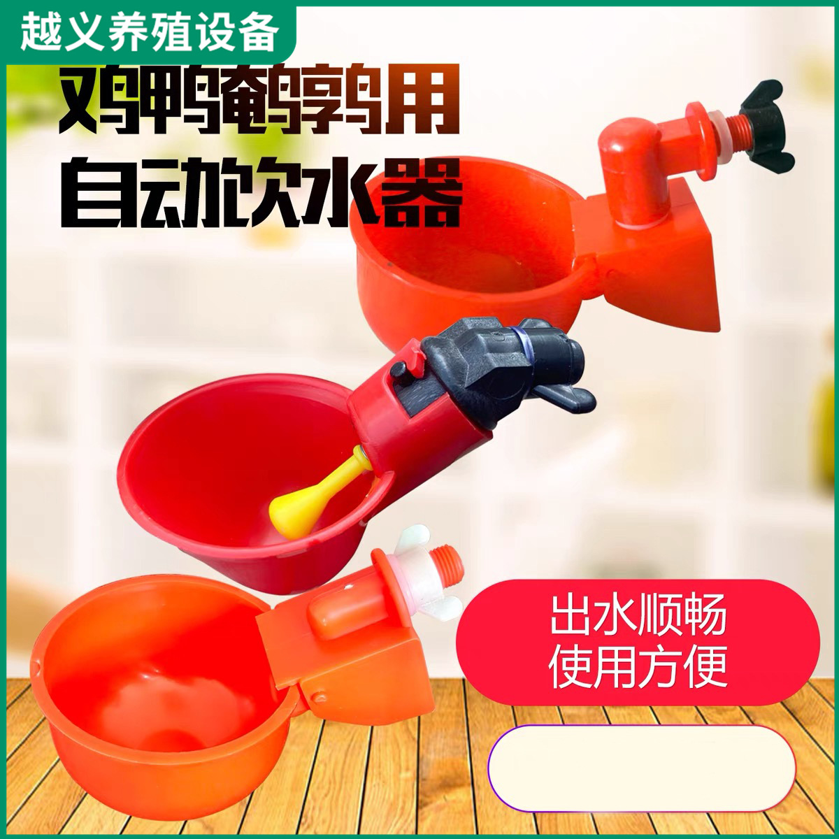 新款鸡鸭鹅鸟自动饮水碗鸡用饮水器鹌鹑鸽子饮水碗雏鸡自动喂水器