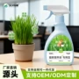 办公室植物水培盆栽营养液