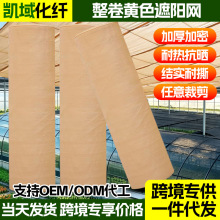 ɳ���SɳĮ�S���m�W�w���W��ꖾW�����ݾ��Vɽ�����Ă��b�W���w�W