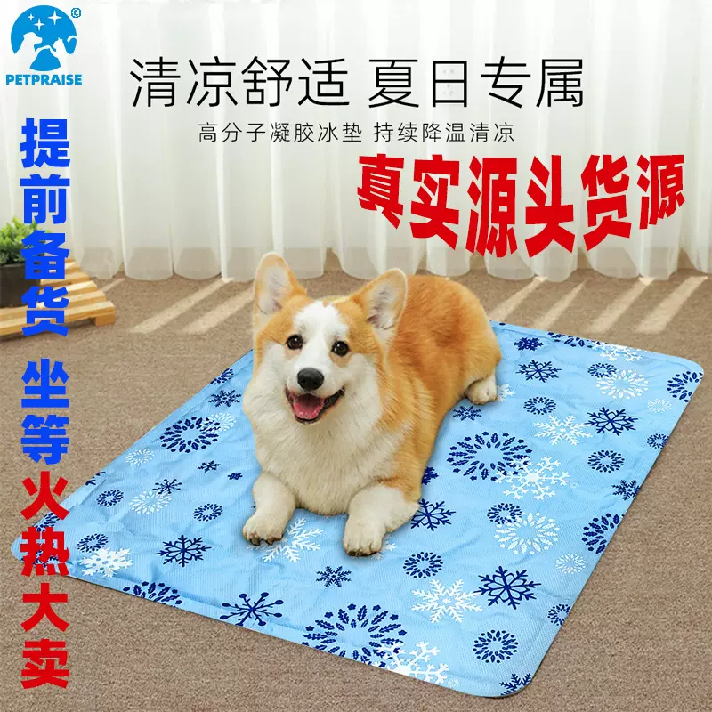 夏季宠物冰垫狗狗降温凝胶凉垫加厚耐抓耐磨注水冰垫清凉持久