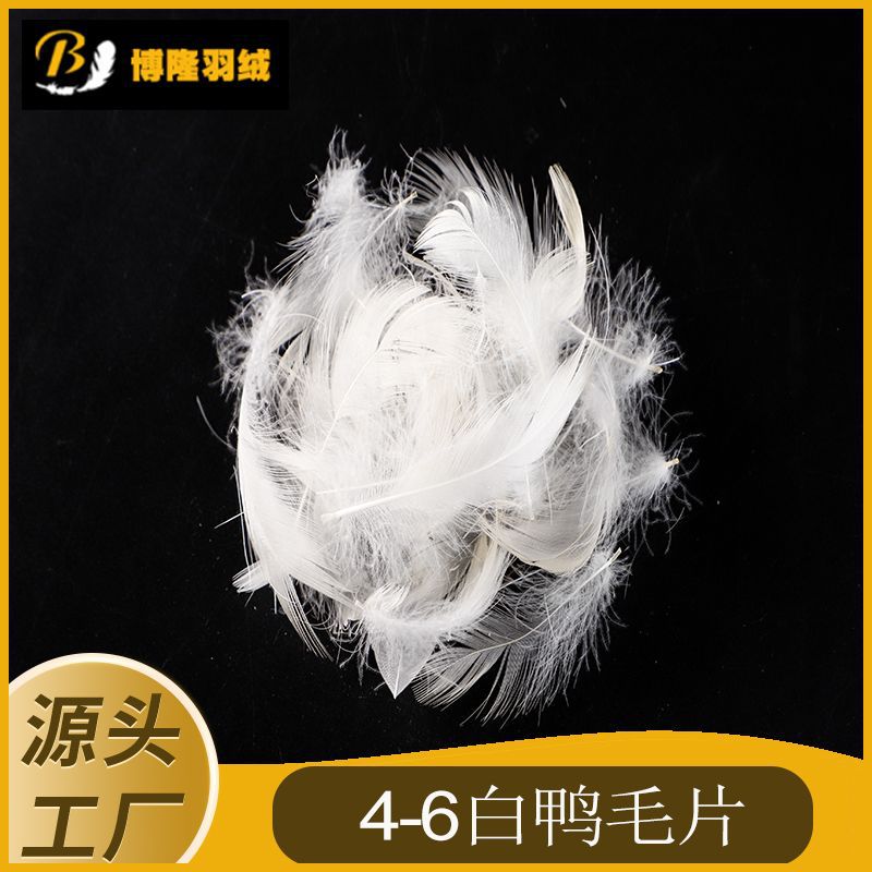 4-6白鸭毛片.jpg