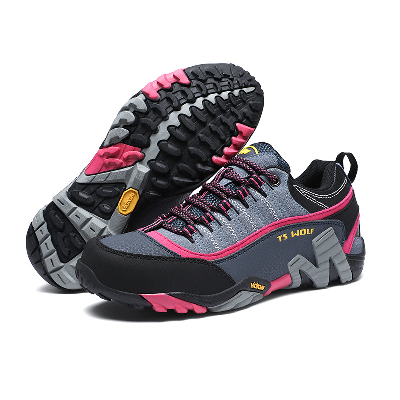 8006 다크 블루 플럼 레드