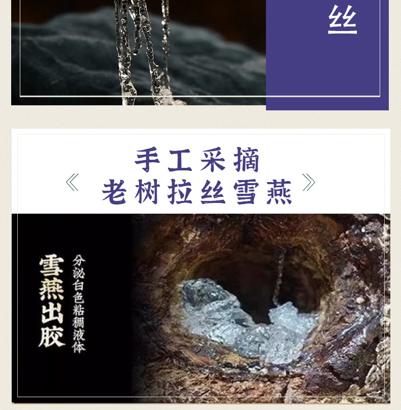Snow Fungus Jelly Xue Yan Premium Selected 50g Bottle Culinary Herbal Ingredient quality and texture