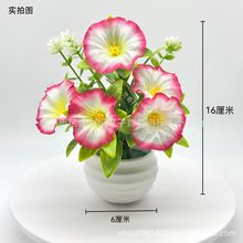 跨境仿真牵牛花喇叭花尤加利草盆栽 人造喇叭花家居绿植假花装饰