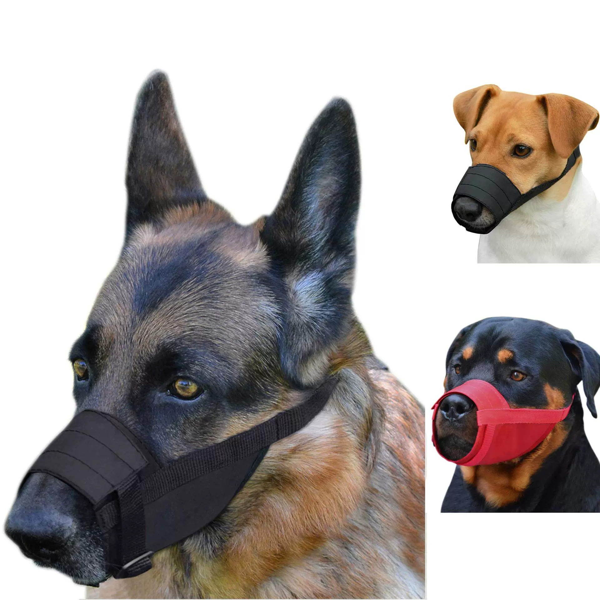 Собачий рот против укусов и криков можно пить воду, чтобы предотвратить беспорядок.