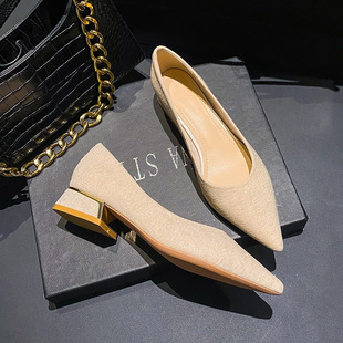 Pointed Toe Thick Heel Flats 2025 Spring New Style Shallow Mouth Medium Heel Low Heel Design Niche Large Size Women's Shoes 41-43