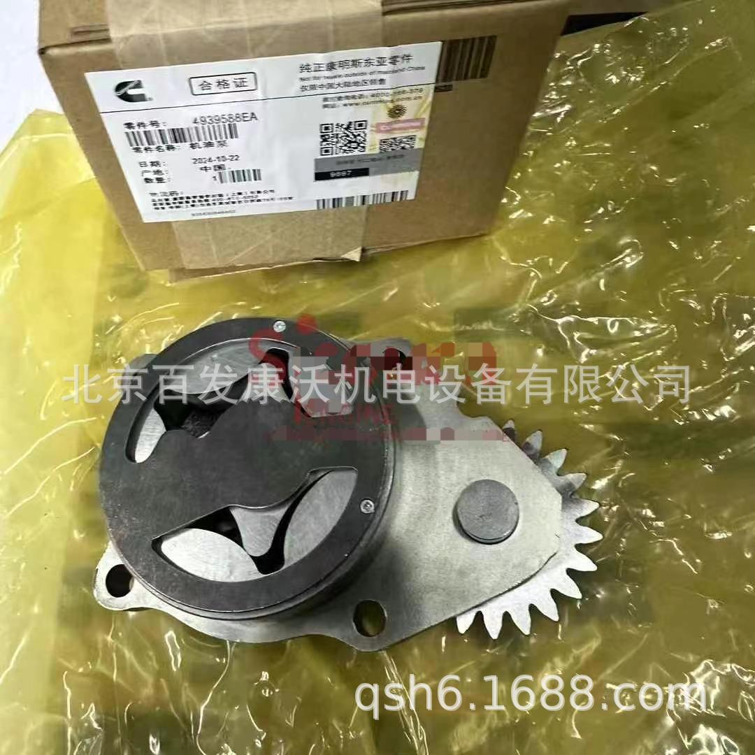 QSB6 (2).jpg