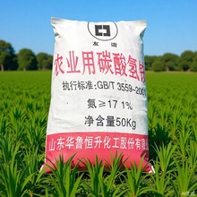 ̼���}���w̼����@�r�� �A���a��̼����@