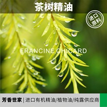 【各种级别茶树精油】芳疗香薰茶树单方精油原料批发美容院