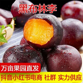 其他水果;桃子;梨