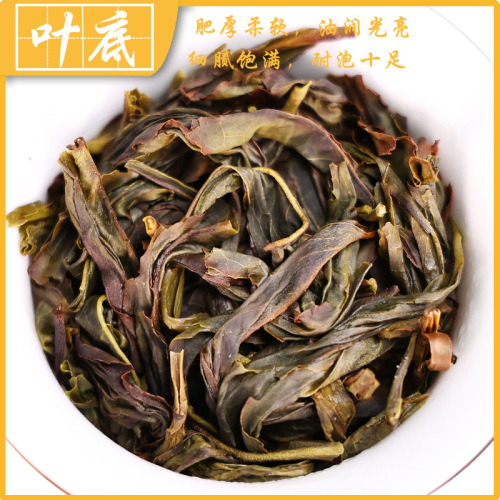 Mingyou Collection Chaozhou Fenghuang Dancong Tea High Mountain Dancong Tea Orchid Fragrance Staple Tea Chaoshan Aromatic Black Tea