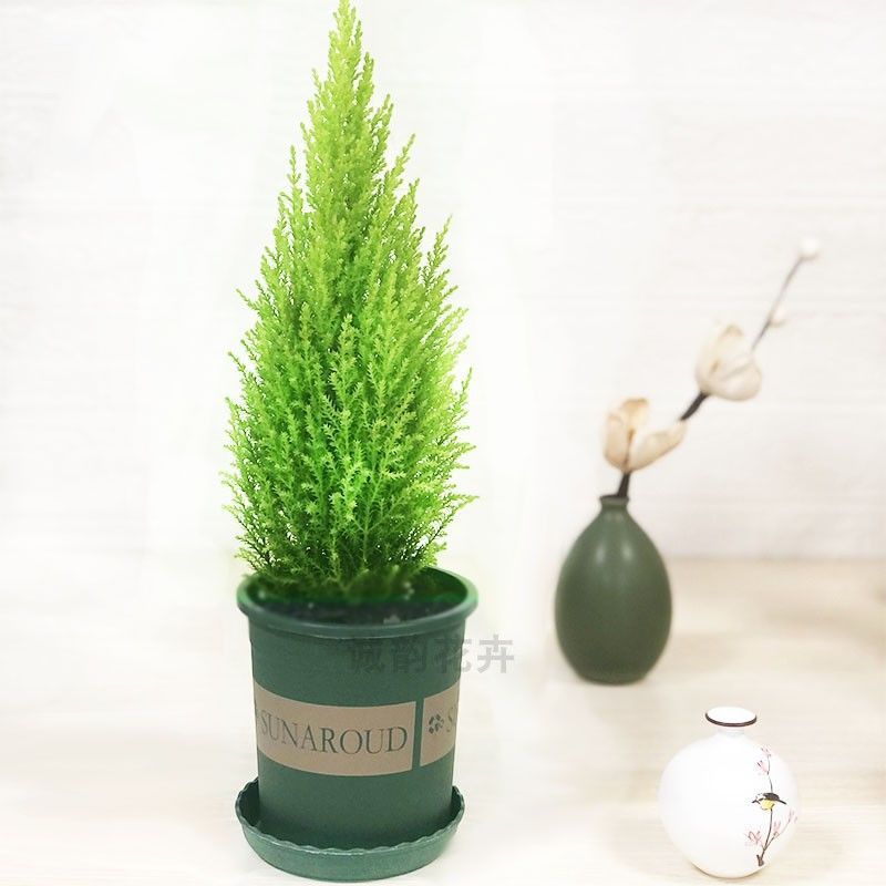 ∑∶ ◇ ±〈뜨거운 판매 향송 약 40cm개(갤런 냄비)∝