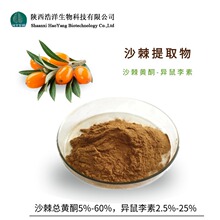 沙棘果粉 水溶 沙棘提取物 沙棘汁粉 食品级 浩洋生物 新品包邮