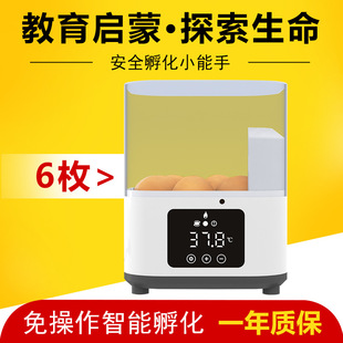 ���N؛Դ��ͯ��߷�����������6ö�����B���������������ܷ�����