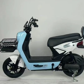 其他电动车;电动三轮车