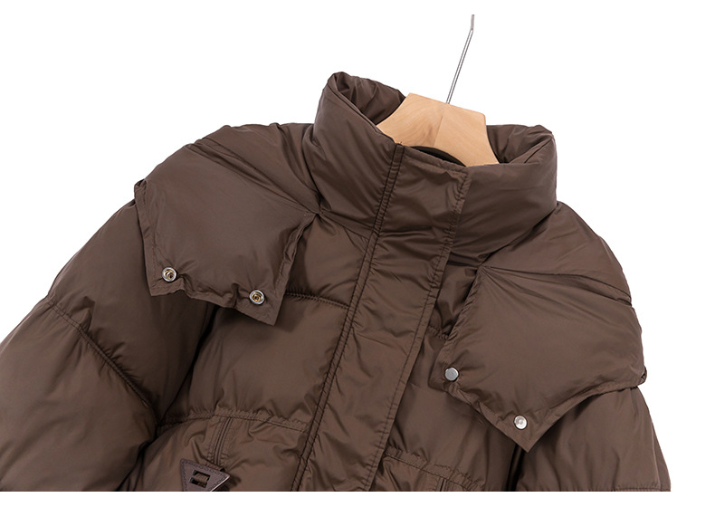 Ins Korean version winter for women 2024 new style student loose and warm bread cotton coat Down jacket_voghion.com
